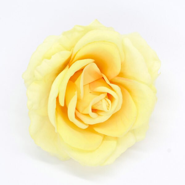 Rosalú Amarilla - Imagen 2